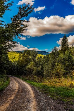 Ormandan geçen bir yol ve uzaktaki bir dağ sırası.