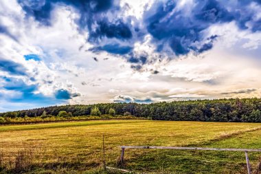 Çimen tarlası ve mavi gökyüzü olan güzel bir manzara.