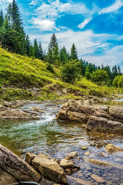 Doğanın arka planında güzel bir şelale