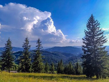 Karpatlar 'da yeşil çimlerle kaplı yaz manzarası. Mavi gökyüzü ve arka planda bulutlar olan güzel dağ zirveleri.