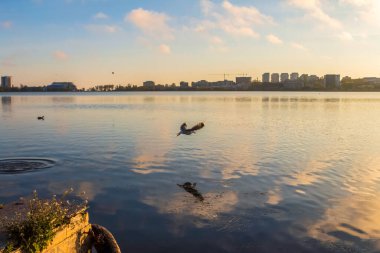 Gölün üzerinde güzel bir gün batımı