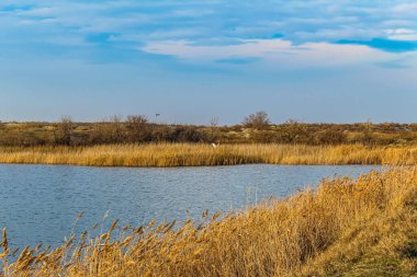 Güzel göl manzarası