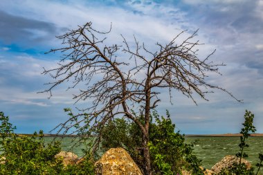 Doğanın güzel manzarası