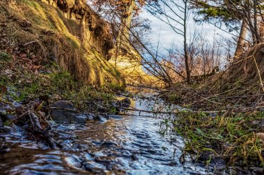 Ormanda güzel bir şelale