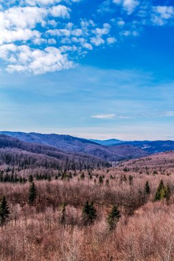 New York eyaletinin kuzeyindeki sıradağların manzarası.
