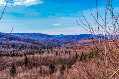 Ağaçlar ve dağlarla dolu güzel sonbahar manzarası