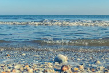 Baltık plajı, Letonya. baltık kıyıları.