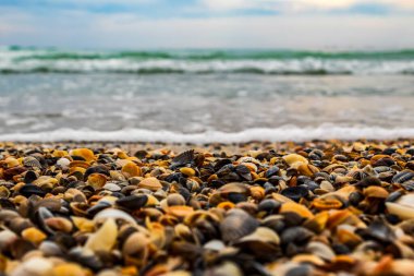 Dalgalı güzel deniz kıyıları