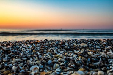 Gün batımında sahilde deniz kabukları