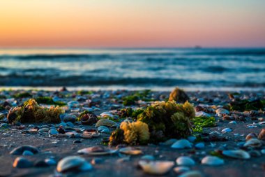 Sahilde gün batımı