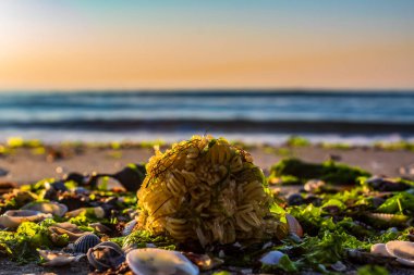 Sahilde güzel bir gün batımı
