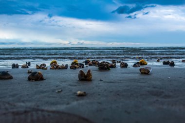 Doğanın güzel manzarası