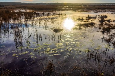 Gölde gün batımı