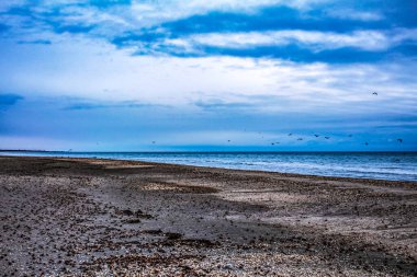 Deniz ve gökyüzü olan güzel sahil