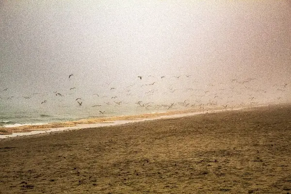 sunrise, dalgalar deniz.