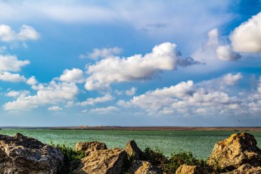 Deniz kıyısının güzel manzarası