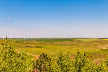 Çimen tarlası ve bulutlu gökyüzü olan güzel bir manzara.