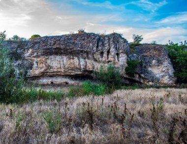 Bir kayalık dağ manzarası ve bulutlu bir yaz gününde bir orman..