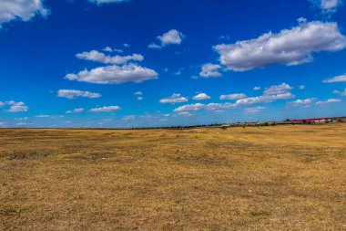 Çimen tarlası ve mavi gökyüzü olan güzel bir manzara.
