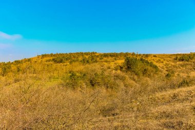 Bahar ormanındaki bir dağ sırasının güzel manzarası