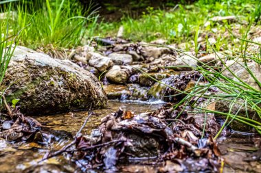Manzaralar, Doğa, Avrupa, Doğu Avrupa, Romanya