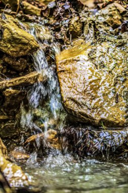 Ormanda güzel bir şelale