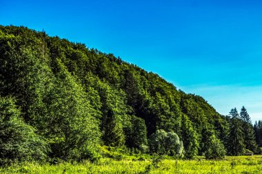 Dağlarda yeşil orman ve mavi gökyüzü.