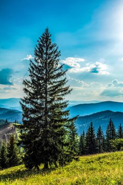 Dağların güzel manzarası