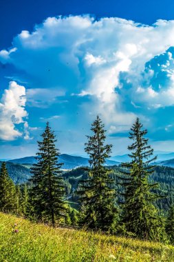 Dağ sırası olan güzel bir manzara. Karpatlar, Romanya, Avrupa