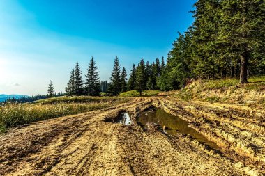 Güzel bir ormanın dağlarındaki toprak yol..