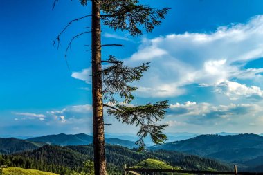 Dağ sırası olan güzel bir manzara.