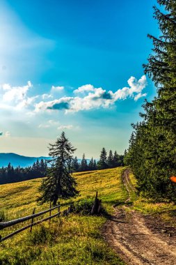 Ormandaki dağ yolunun tepesinden güzel bir manzara.