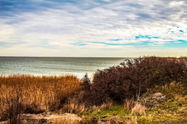 Baltık Denizi kıyılarında kış