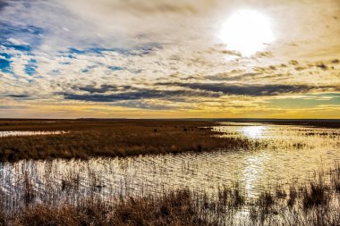 Güneşli bir günde, gün batımında güzel bir göl görüntüsü.