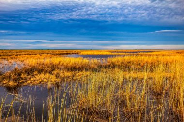 Gölde güzel bir gün batımı