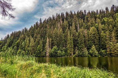 Yaz aylarında Karpat Dağları