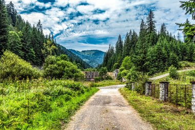 Karpat Dağları 'ndaki ahşap yol, Ukrayna