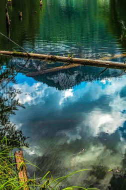 Nehir ve gölü olan güzel bir manzara.