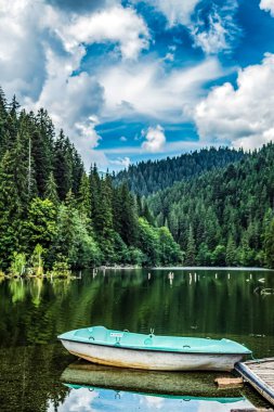 Ormandaki güzel bir göl manzarası