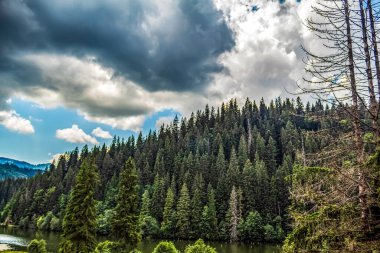 Ağaçlı ve ormanlı dağ gölü