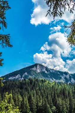 Arka planda mavi gökyüzü ve ağaç olan güzel bir dağ manzarası.