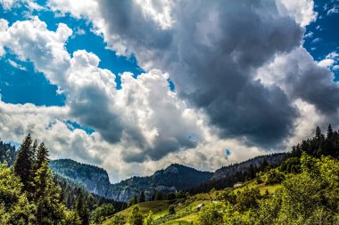 Yazın Karpatlar 'da bulutlu ve mavi gökyüzü olan dağ panoraması.