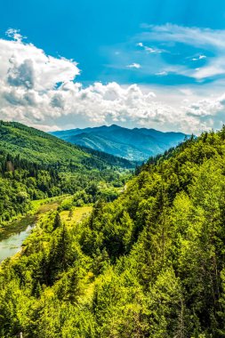 Nehirli güzel dağ manzarası