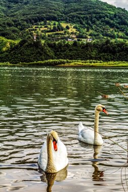 Dağlarda gölü olan güzel bir manzara.