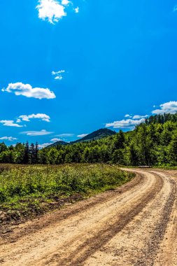 Tarlaların ortasındaki yol.