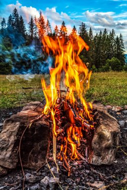 Yaz ormanında kamp ateşi.