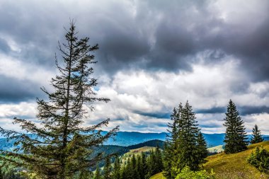 Dağların güzel manzarası