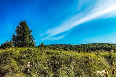 Dağların güzel manzarası