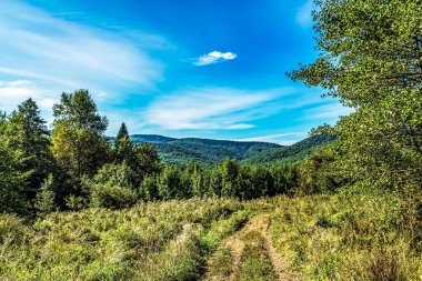 Doğanın güzel manzarası