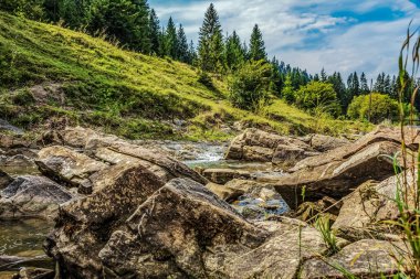 Ormandaki güzel dağ deresi.